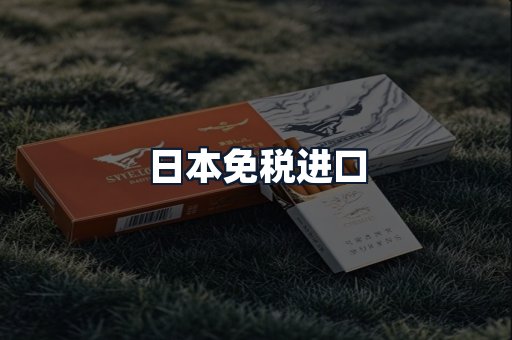 日本免税进口